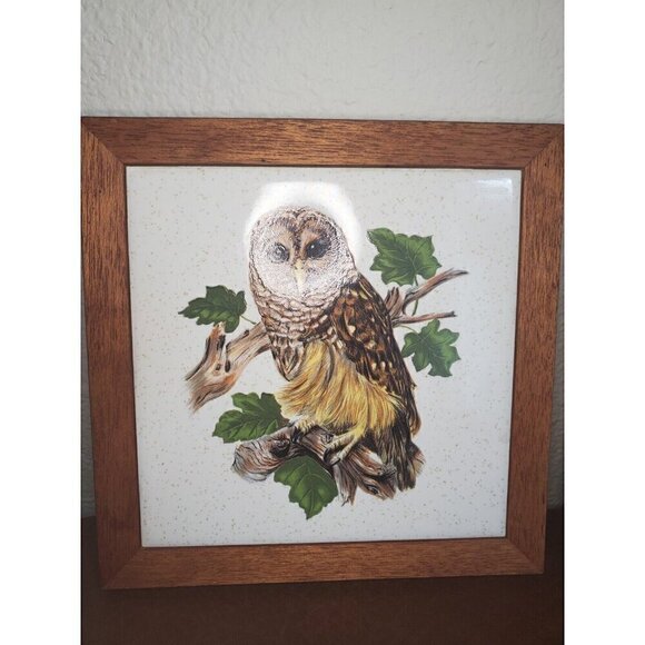 Barred Owl Tile Trivet Framed Decor Wall Hanging USA (2) EUC - Picture 2 of 7